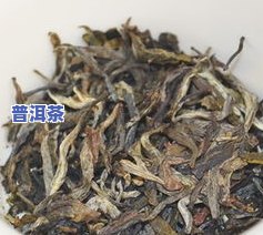 冰岛蓝印价位：珍藏品2014生茶357克