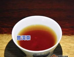 普洱茶国界-普洱茶世界