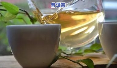 寒胃的女人能喝普洱茶吗？喝多少合适？