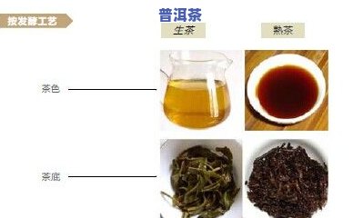 冰岛茶：是生茶还是熟茶？区分方法解析