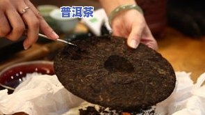 福记梅村普洱茶-福村梅记普洱茶报价