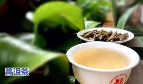 普洱茶有点霉味正常吗？年份久的解决方法与发霉判断