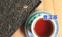 普洱茶提取物：全效用途与功效解析