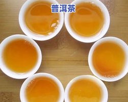 冰岛生茶和熟茶的口感有什么不同，探索冰岛生茶与熟茶的不同口感