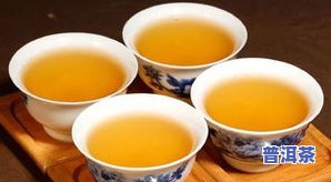 冰岛茶分生茶熟茶吗-冰岛茶分生茶熟茶吗