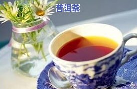 普洱茶提取物的多种用途及应用探讨