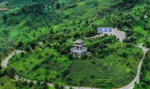 中华普洱茶博园门票，探索千年茶文化：中华普洱茶博园门票等你来拿！