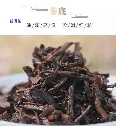 中茶窖藏六堡茶属于什么茶，解密中茶窖藏六堡茶：属于哪种类型的茶？