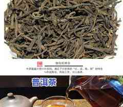 5105中茶窖藏六堡，【5105中茶窖藏六堡】：好茶，值得您品味！