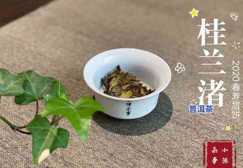 老树金芽普洱茶饼价格及茶叶数量介绍