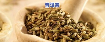 松针普洱茶功效：揭示其独特的作用与好处