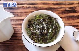 普洱茶春茶冲泡时间表图解，绿茶爱好者必看：普洱茶春茶冲泡时间表图解