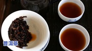 佧朗普洱茶特点，探究佧朗普洱茶的特别魅力与特点