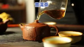 熟普洱茶发霉还能喝吗，熟普洱茶发霉还能喝吗？专家解读茶叶变质风险与解决方法