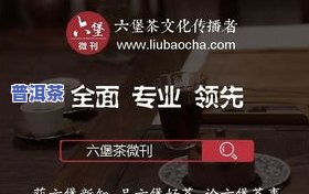 中茶黑盒六堡茶第三版价格，最新报价：中茶黑盒六堡茶第三版多少钱？