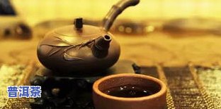 冰岛银壶泡什么茶好喝，探索冰岛银壶的独特魅力：最适合的茶叶推荐