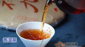 熟普洱茶：什么茶品种？种类及百科介绍