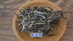 熟普洱茶：什么茶品种？种类及百科介绍