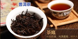 熟普洱茶：什么茶品种？种类及百科介绍