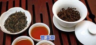 普洱茶倚邦：茶区、简介与口感全解