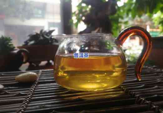 老班长茶饼价格，揭秘老班长茶饼价格：为何这款普洱茶备受追捧？