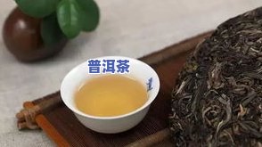 普洱茶倚邦-普洱茶倚邦是哪个茶区