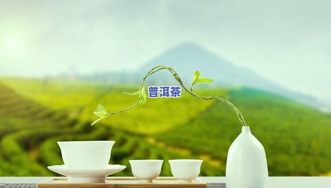 红茶叶会上火吗？探讨其热性属性与饮用效果