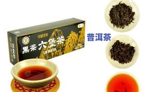 中茶窖藏六堡茶官网-中茶六堡茶00302