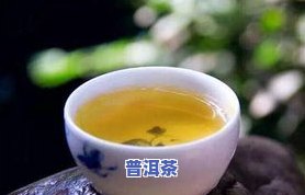 1万一斤的普洱茶：哪些更好？