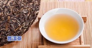 邦盆普洱茶特点，深入解析：邦盆普洱茶的独特特点与魅力