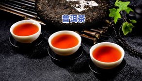 邦盆普洱茶-邦盆普洱茶特点