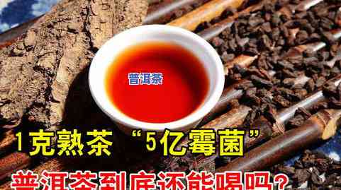 1万一斤的普洱茶能喝吗-1万一斤的普洱茶能喝吗