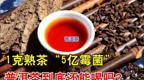 冰岛普洱茶发黄能喝吗吗-冰岛普洱茶发黄能喝吗吗图片