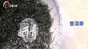 普洱茶晒青时间：多久最合适？