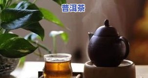 普洱茶适不适合送人？探讨其送礼适宜性及注意事项