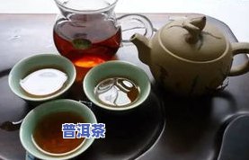 普洱茶7581发布会-普洱茶 7581