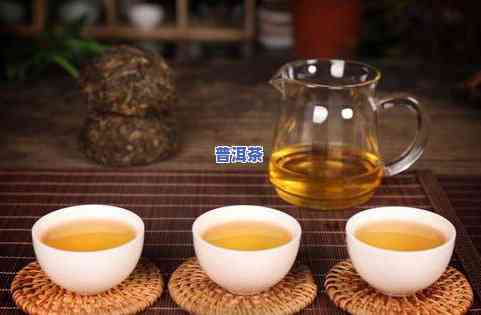 普洱茶科研-普洱茶科学研究