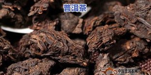 普洱茶化石的更佳冲泡温度是多少？视频教程与图片展示