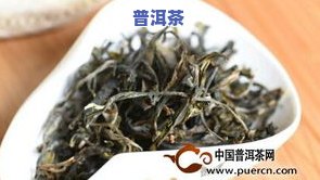 云南曼松普洱茶(生茶)价格，【买2送1】云南曼松古树纯料熟茶，精选500克桶装普洱茶叶 生茶 送茶刀、茶针、茶漏组合礼盒 昆明十大名山乔木