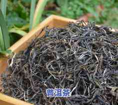 云南曼松普洱茶(生茶)价格，【买2送1】云南曼松古树纯料熟茶，精选500克桶装普洱茶叶 生茶 送茶刀、茶针、茶漏组合礼盒 昆明十大名山乔木