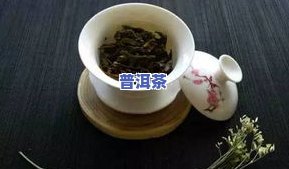 小包装普洱茶的泡茶方法详解