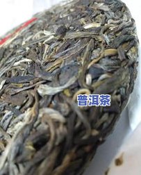 冰岛乔木圆饼普洱生茶，探索冰岛风情：品尝乔木圆饼普洱生茶的特别韵味