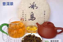 冰岛乔木生茶的特点：古树茶与生态特性解析