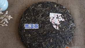 云南冰岛乔木普洱茶生茶-冰岛乔木普洱茶价格