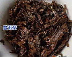 微醺茶饮wedrink加盟-官网,了解最新加盟信息