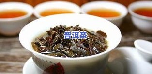 普洱茶808：08年普洱茶饼价值与8081比较