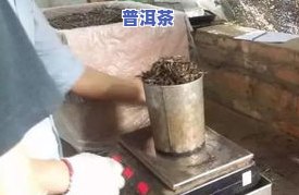 冰岛普洱茶价钱：探索传奇品种的价格与价值