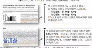 新疆适合发酵普洱茶的地方在哪里，揭秘：新疆更佳的普洱茶发酵地究竟在哪里？