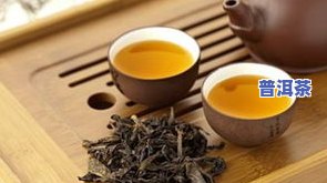 大益茶普洱7572茶价格查询及最新行情