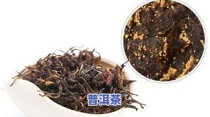 0738普洱茶是什么，解密普洱茶世界：探索'0738普洱茶'的奥秘